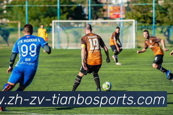 天博体育APP 封面图